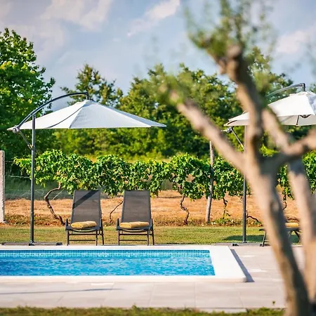 别墅 Spacious New Design Vitis Vitae, Private Pool ,1400m2 Garden , Istria *