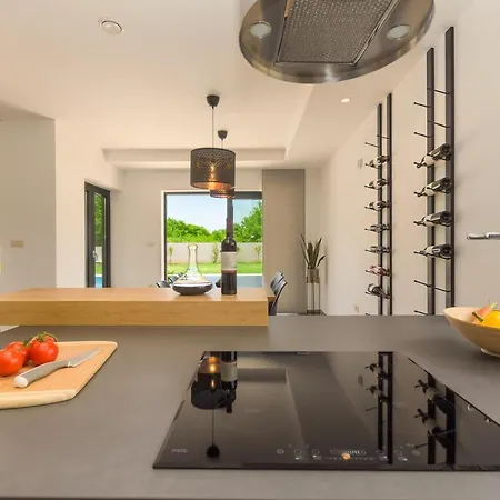 Spacious New Design Vitis Vitae, Private Pool ,1400m2 Garden , Istria 别墅