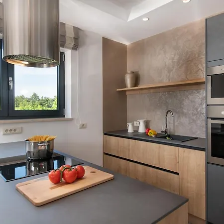 Spacious New Design Vitis Vitae, Private Pool ,1400m2 Garden , Istria