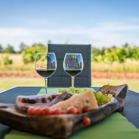 Spacious New Design Vitis Vitae, Private Pool ,1400m2 Garden , Istria Villa