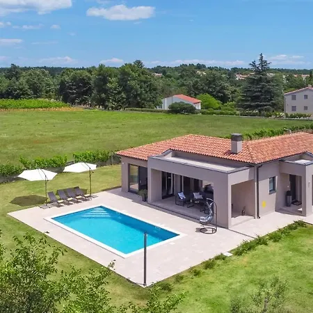 Villa Spacious New Design Vitis Vitae, Private Pool ,1400m2 Garden , Istria